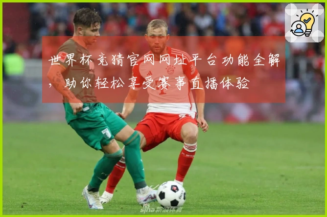 世界杯竞猜官网网址平台功能全解，助你轻松享受赛事直播体验