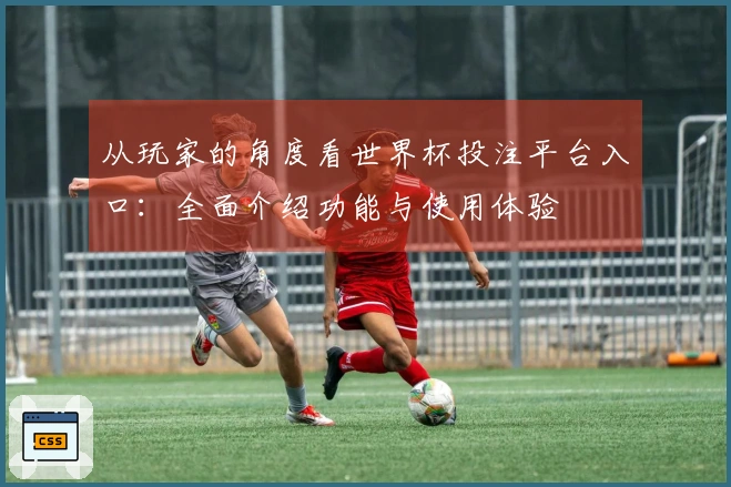 从玩家的角度看世界杯投注平台入口：全面介绍功能与使用体验