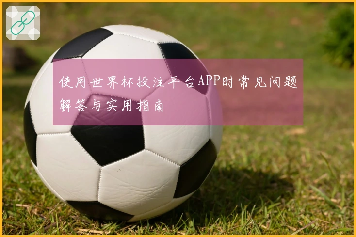 使用世界杯投注平台APP时常见问题解答与实用指南