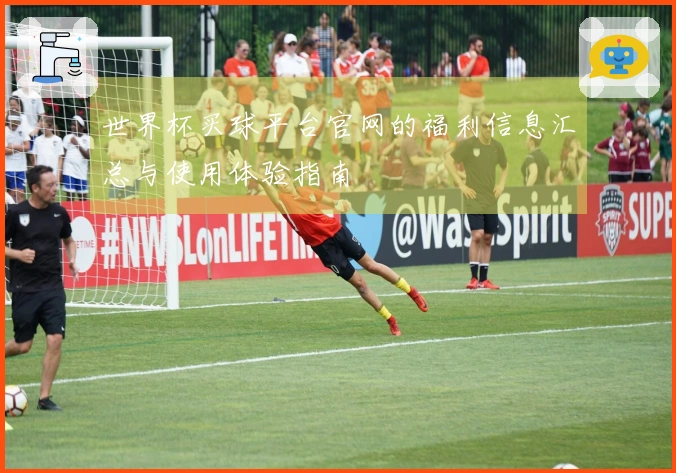 世界杯买球平台官网的福利信息汇总与使用体验指南