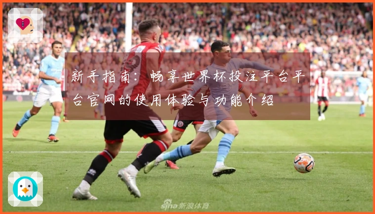 新手指南：畅享世界杯投注平台平台官网的使用体验与功能介绍