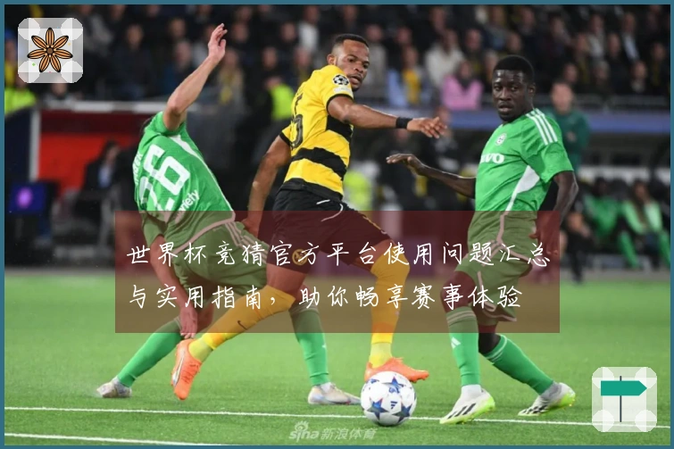 世界杯竞猜官方平台使用问题汇总与实用指南，助你畅享赛事体验