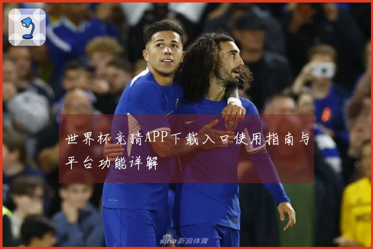 世界杯竞猜APP下载入口使用指南与平台功能详解