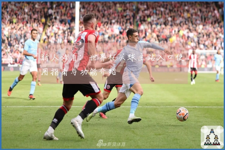 新人必看：世界杯买球主站入口使用指南与功能介绍