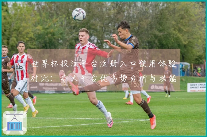 世界杯投注平台注册入口使用体验对比：各大平台优劣势分析与功能介绍