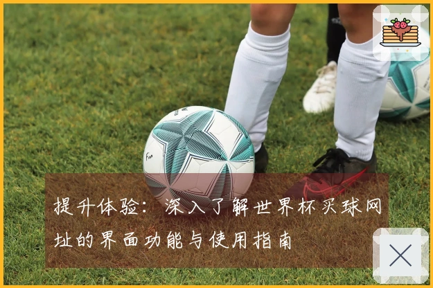 提升体验：深入了解世界杯买球网址的界面功能与使用指南