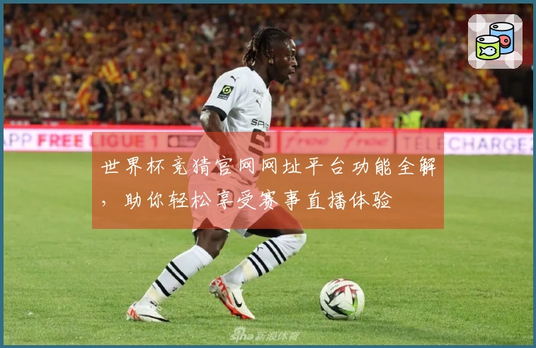 世界杯竞猜官网网址平台功能全解，助你轻松享受赛事直播体验