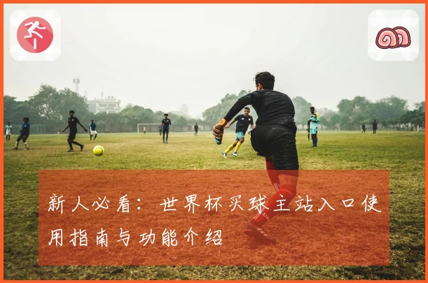新人必看：世界杯买球主站入口使用指南与功能介绍