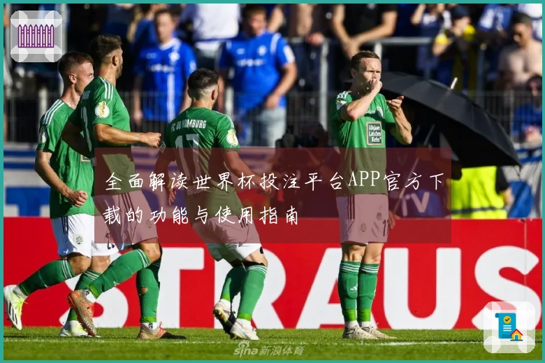 全面解读世界杯投注平台APP官方下载的功能与使用指南