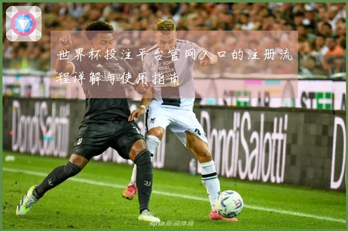 世界杯投注平台官网入口的注册流程详解与使用指南