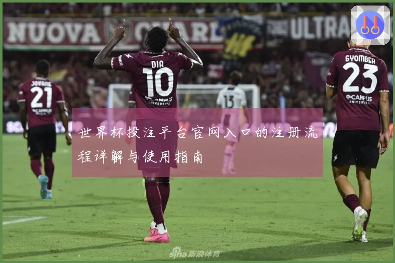 世界杯投注平台官网入口的注册流程详解与使用指南