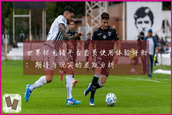世界杯竞猜平台首页使用体验评测：期待与现实的差距分析