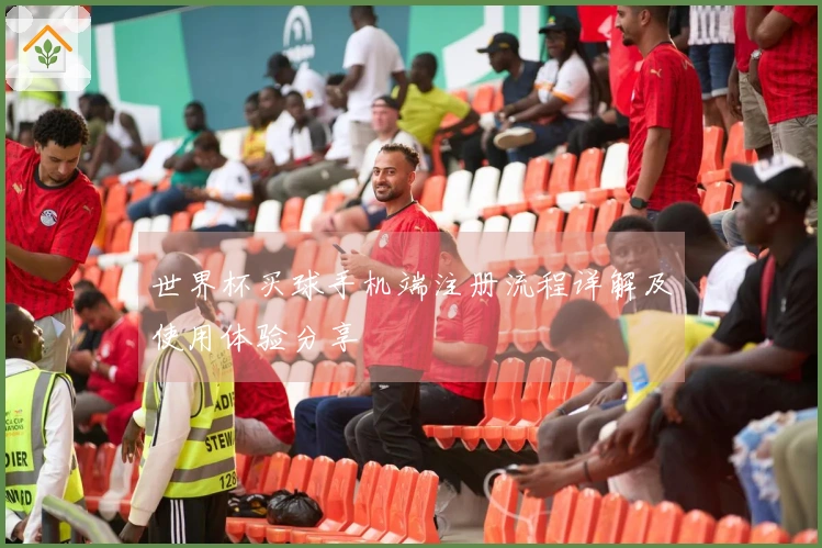 世界杯买球手机端注册流程详解及使用体验分享