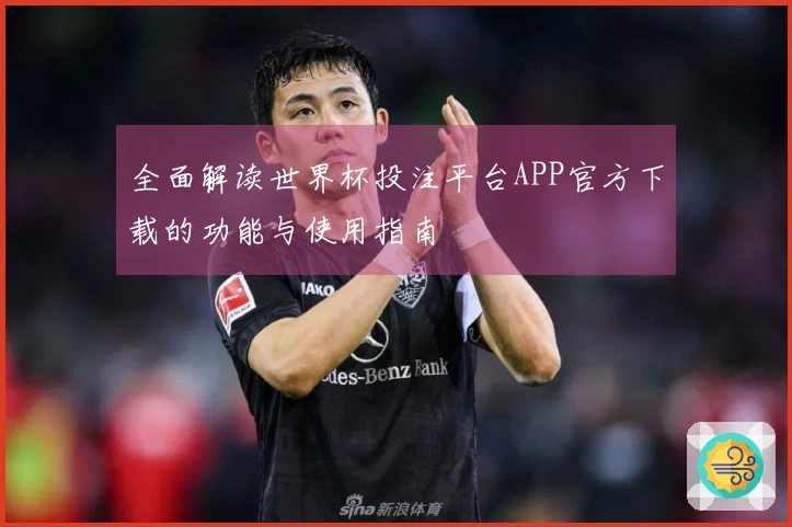 全面解读世界杯投注平台APP官方下载的功能与使用指南