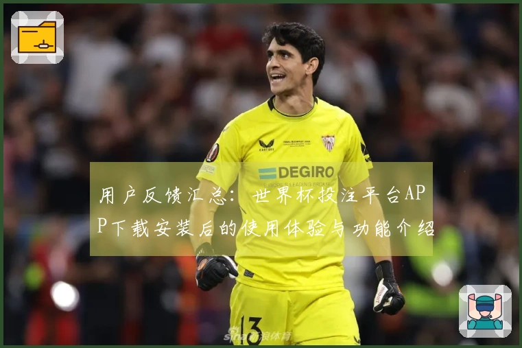 用户反馈汇总：世界杯投注平台APP下载安装后的使用体验与功能介绍