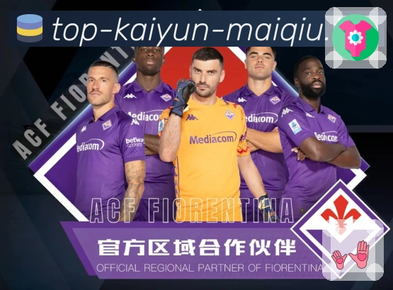 备用策略 备用策略 - 线路检测与备用网址推荐